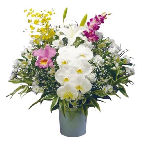 白い胡蝶蘭を中心に、黄・ピンクの洋花を配した華やかな供花
