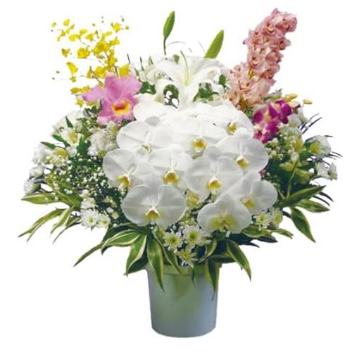 胡蝶蘭と百合に、黄・ピンクの花を組み合わせた上品な供花